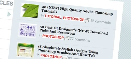 wordpress programming