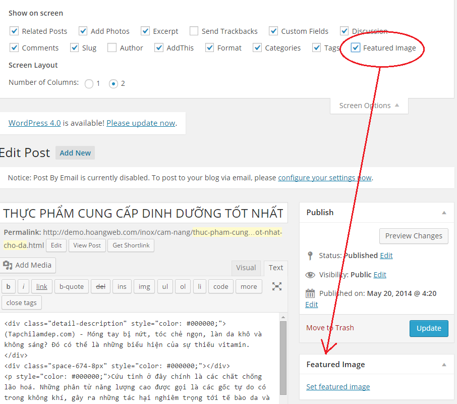 enable-options-screen-wp
