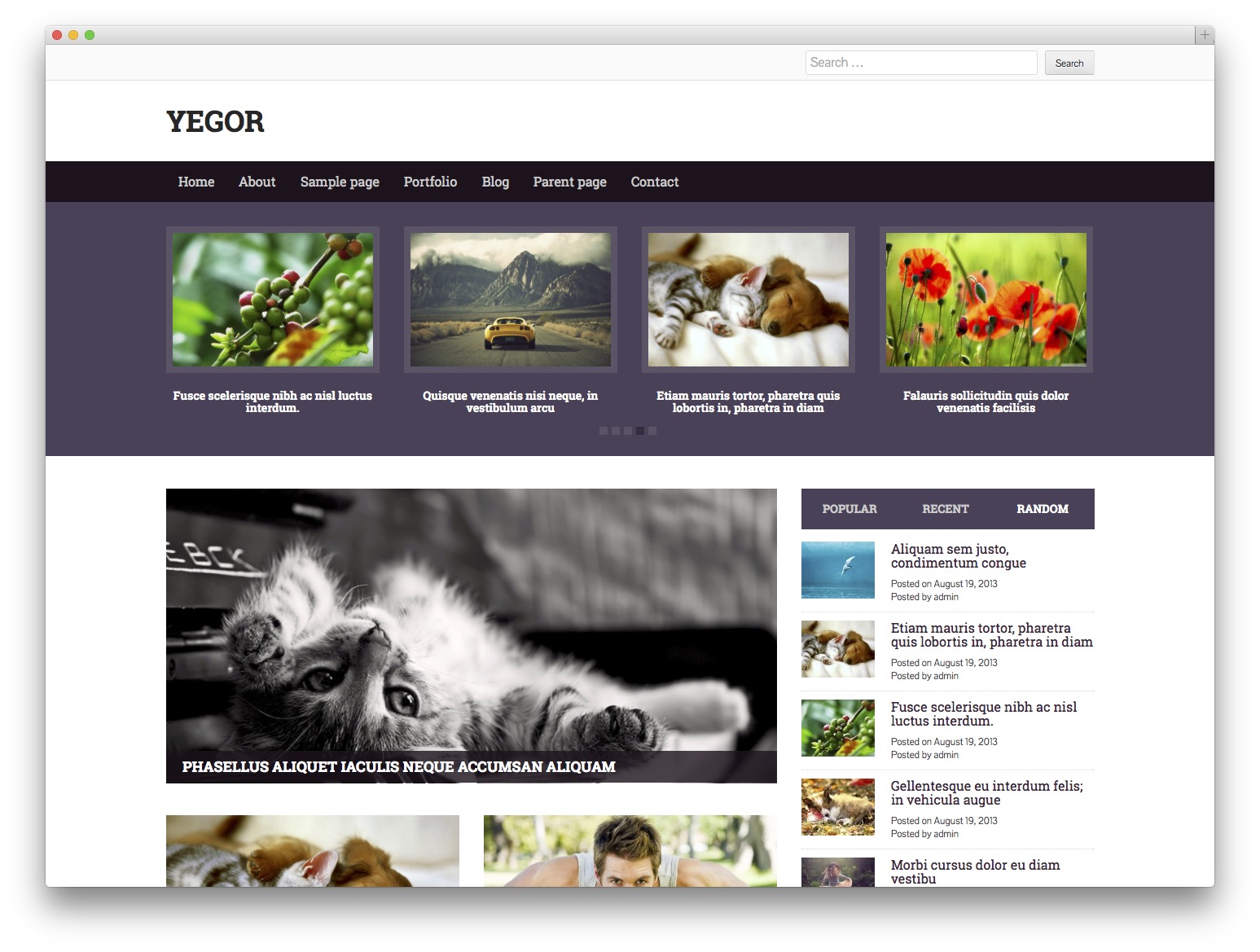 10-theme-tin-tuc-wordpress