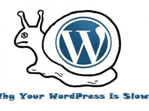 Wordpress chạy chậm